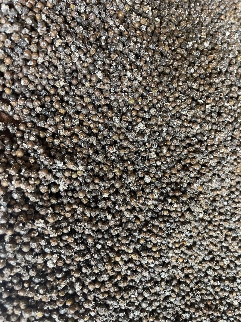 BoTree Salt Fermented Kampot Pepper Berries, 100g